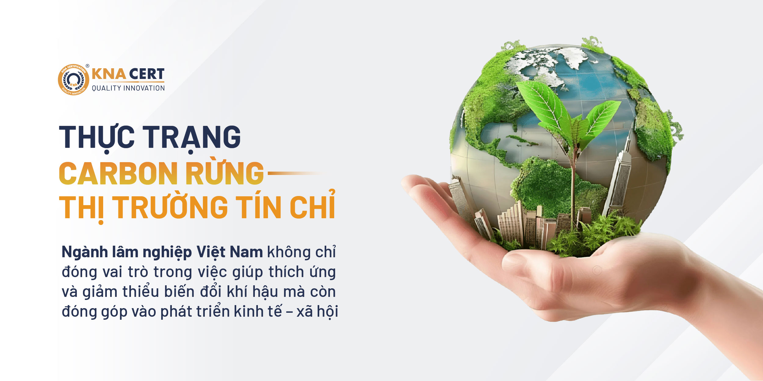 THỰC TRẠNG THỊ TRƯỜNG TÍN CHỈ CARBON RỪNG