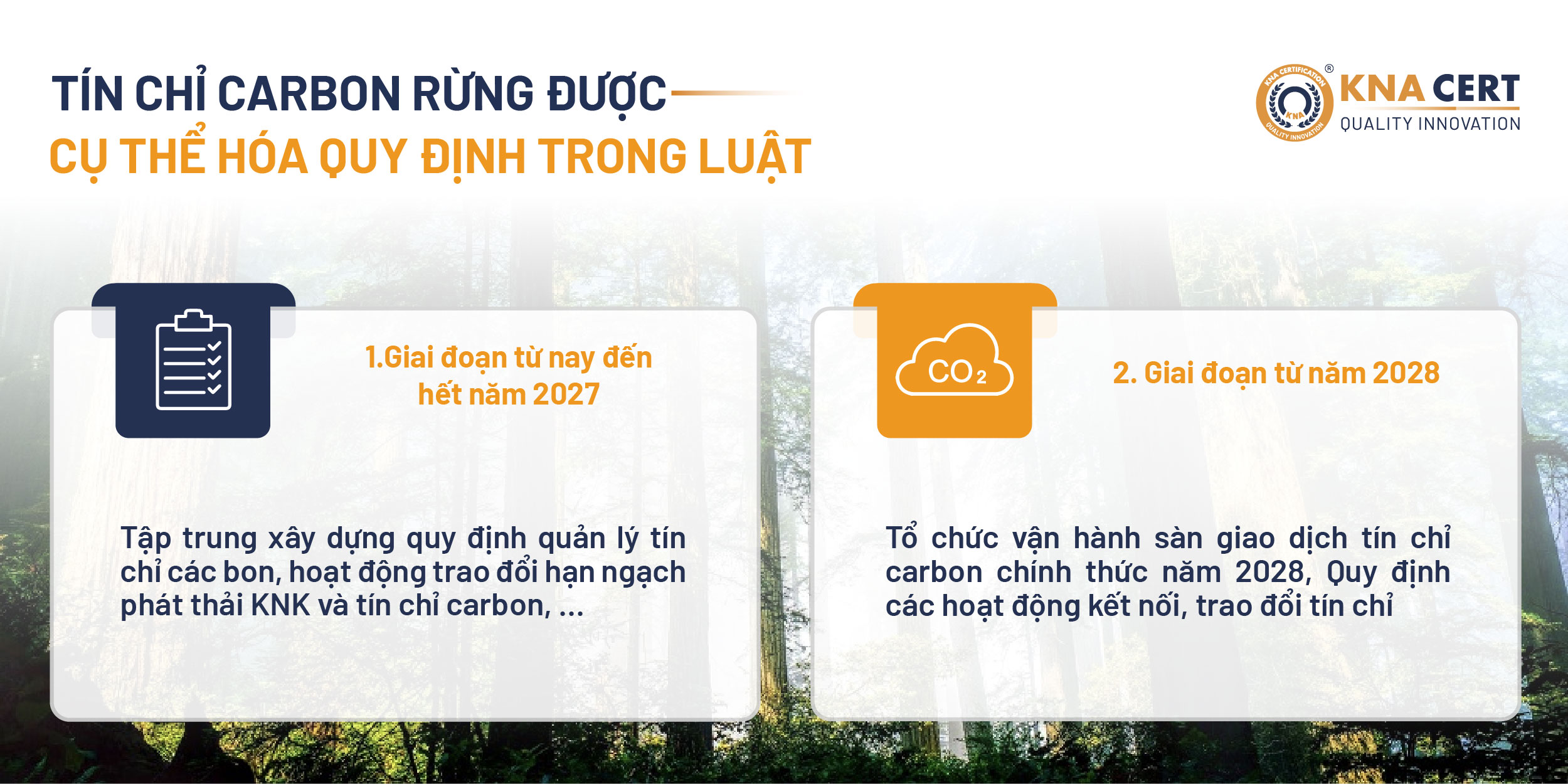 TÍN CHỈ CARBON RỪNG ĐƯỢC CỤ THỂ HÓA QUY ĐỊNH TRONG LUẬT