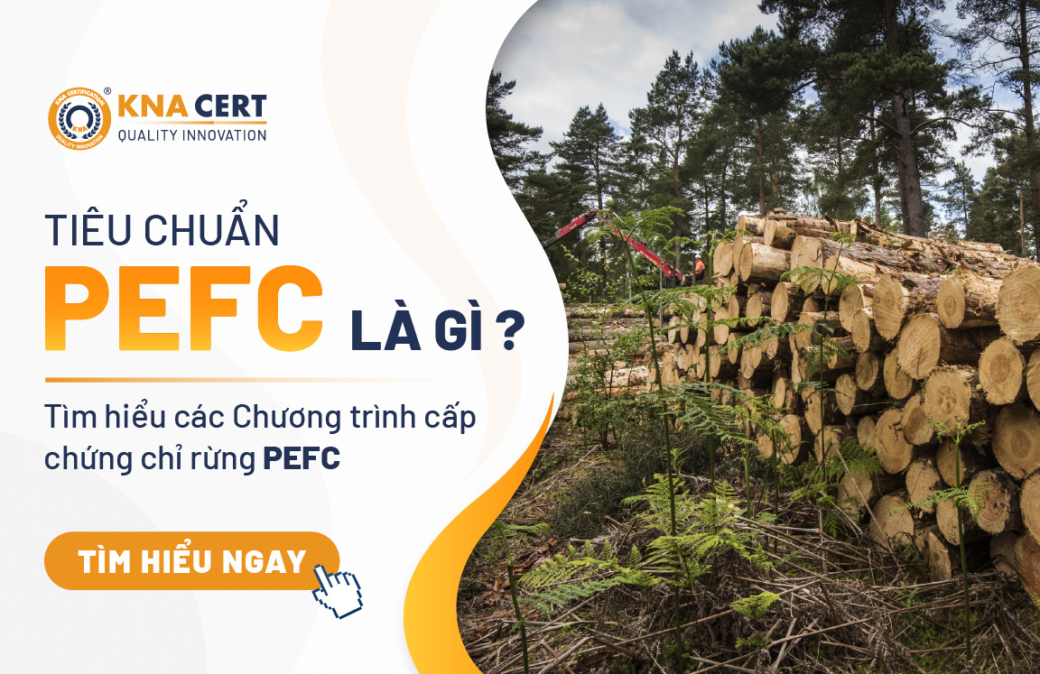 Tiêu chuẩn PEFC là gì? Tìm hiểu các Chương trình cấp chứng chỉ rừng PEFC