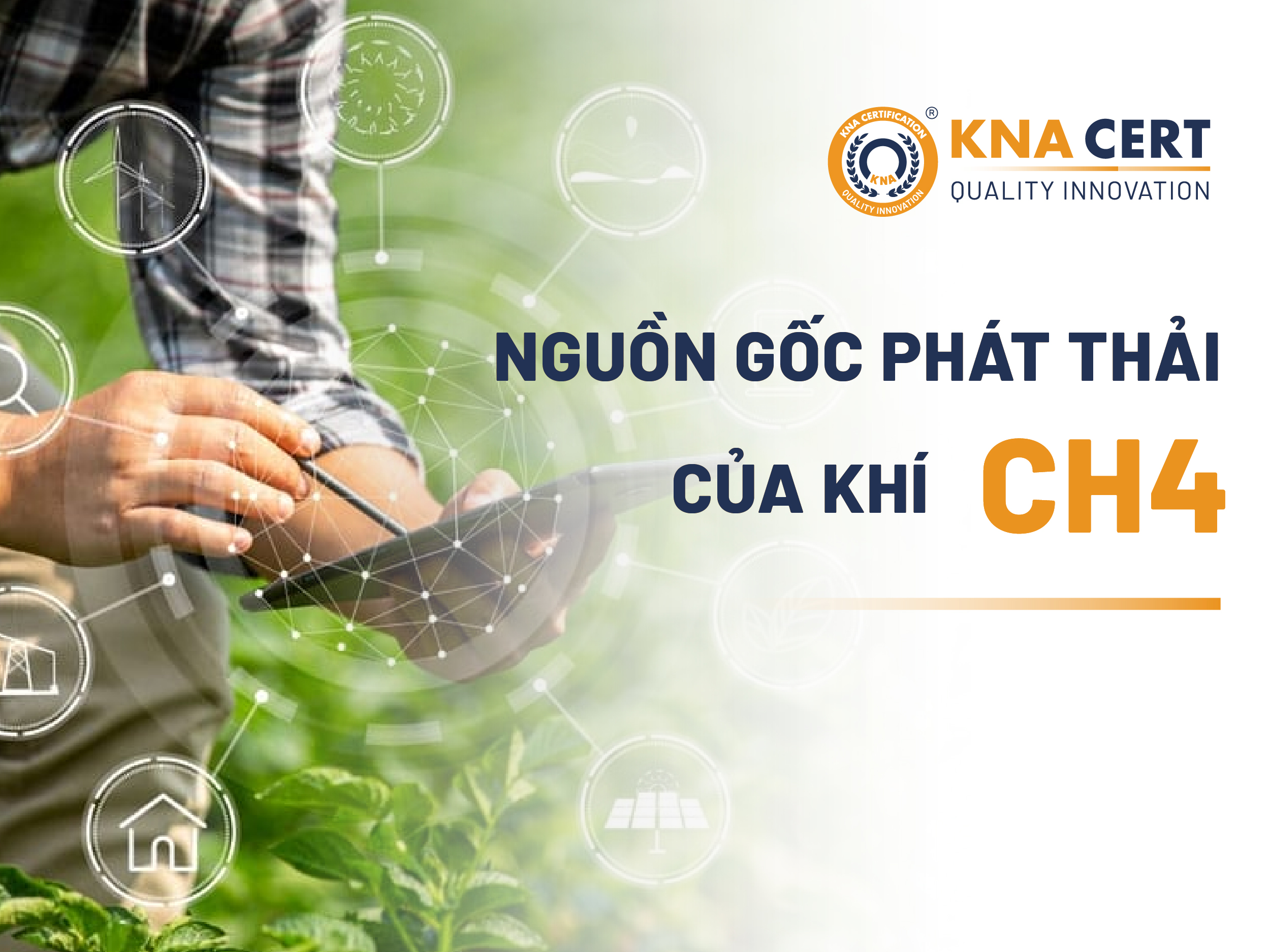 Anh 03 5