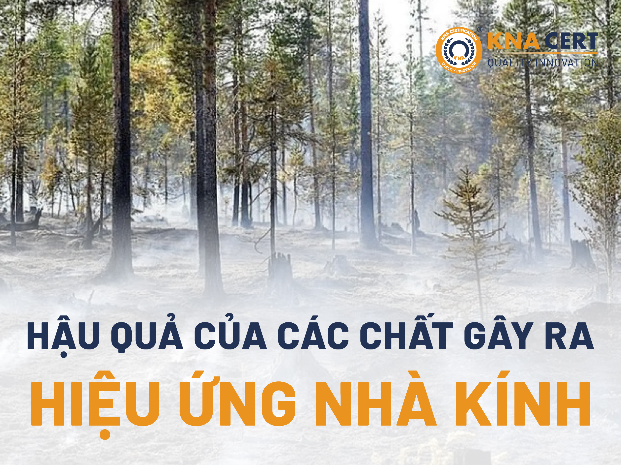 Khí nào gây hiệu ứng nhà kính? Hậu quả của các chất gây ra hiệu ứng nhà kính 2 Anh 03