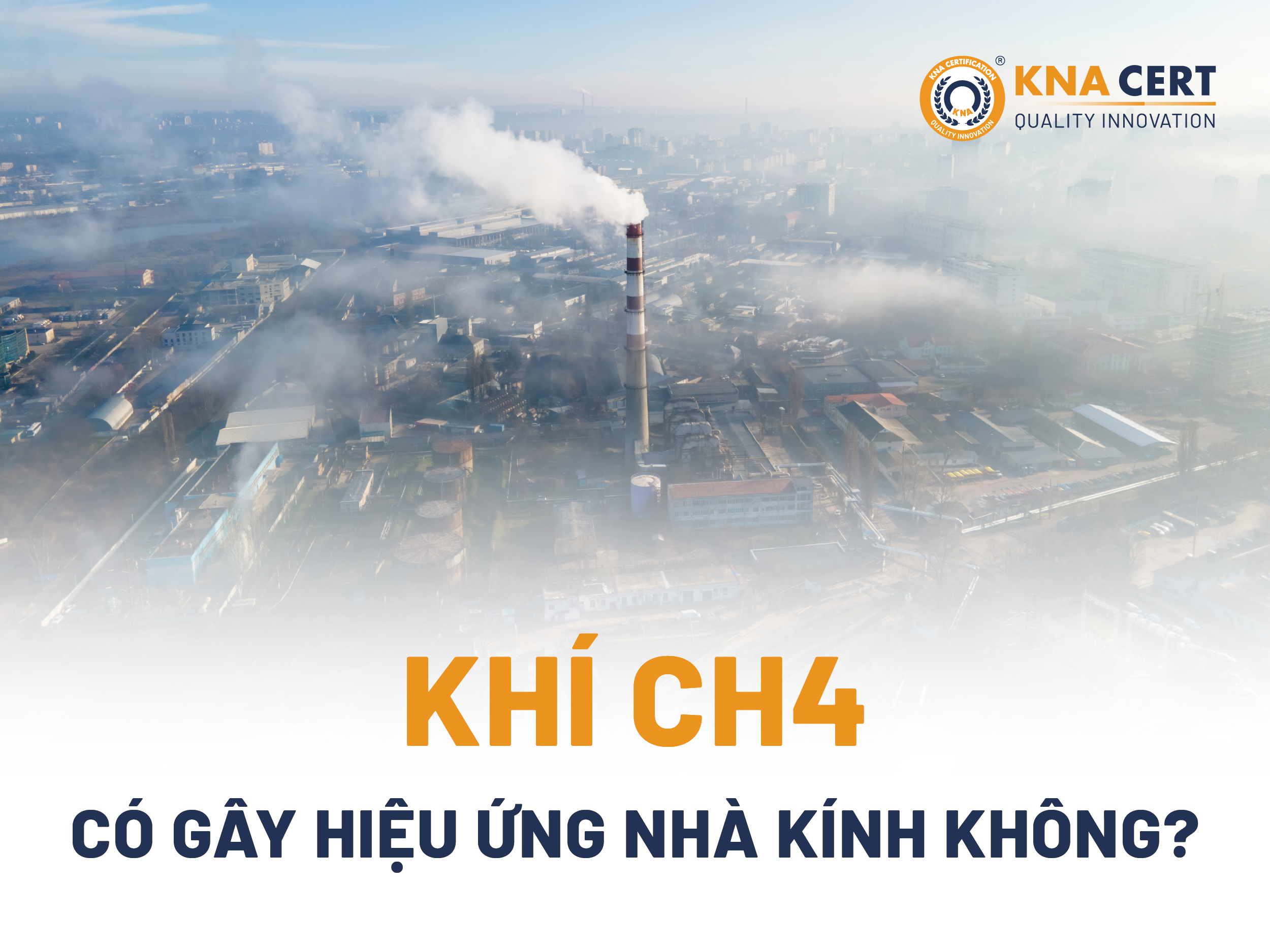 Anh 04 3