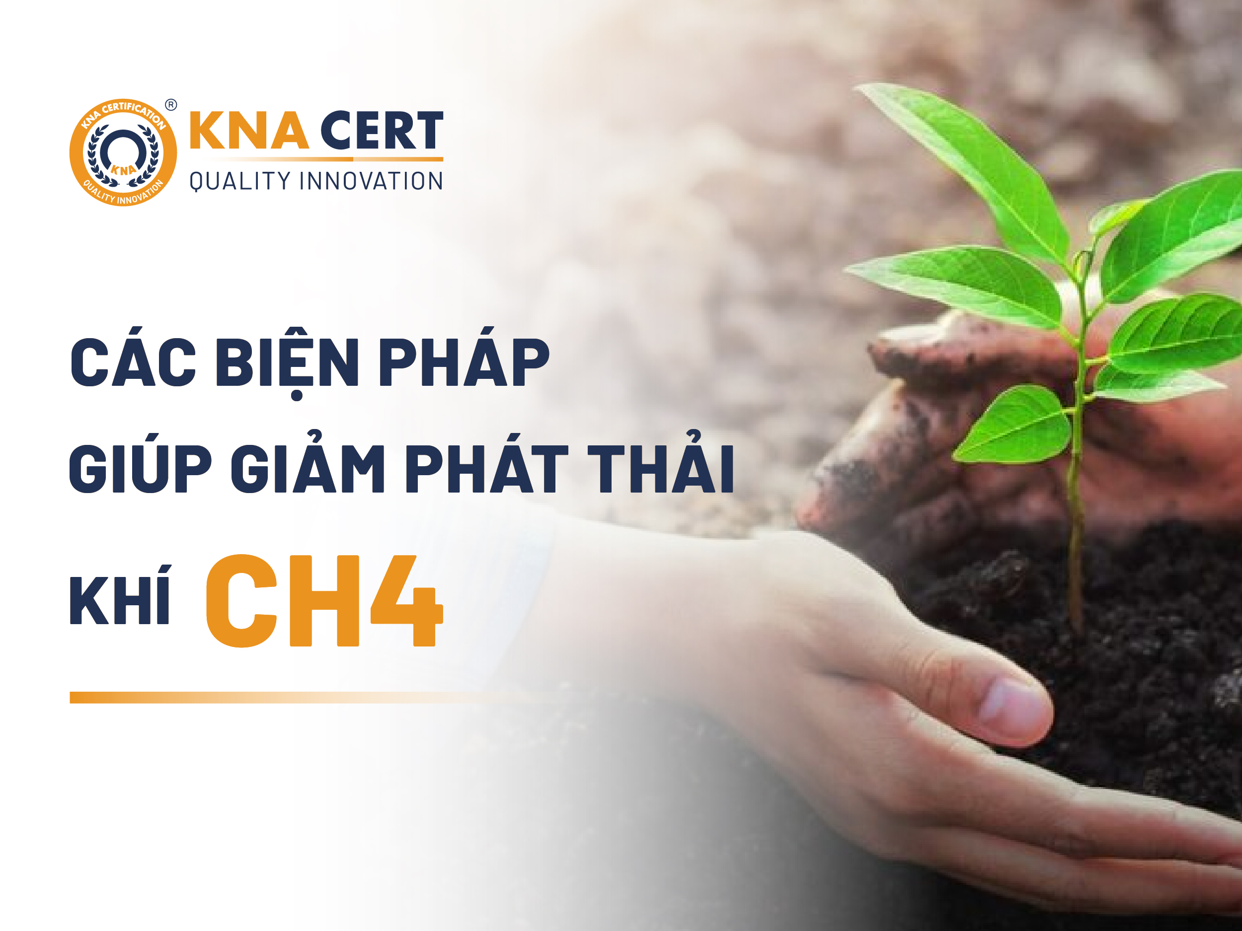 Anh 05 1