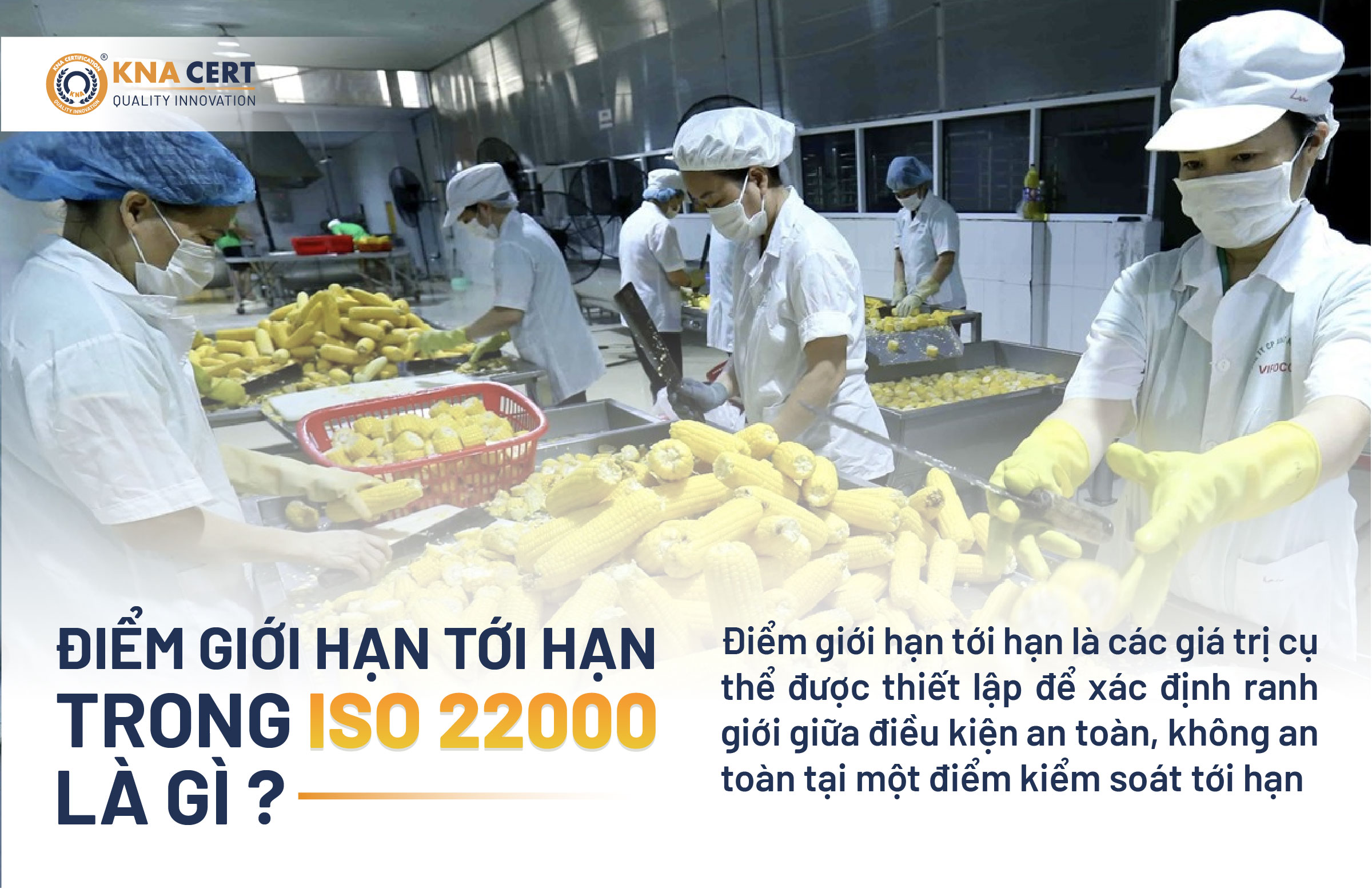 Diem gioi han toi han trong ISO 22000 la gi