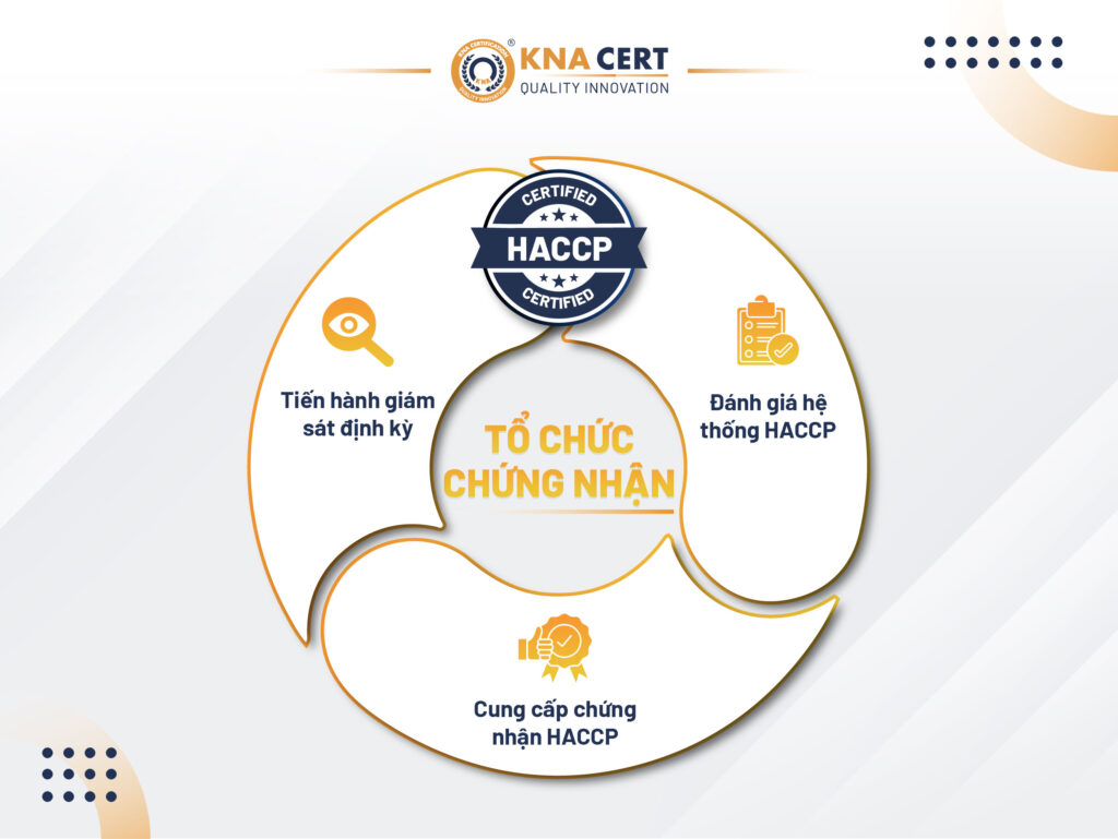 Các cấp trong HACCP là gì? Những thông tin chính 5 To chuc chung nhan