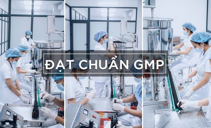 5 yếu tố cơ bản trong GMP trong sản xuất 2 5 yếu tố cơ bản trong GMP