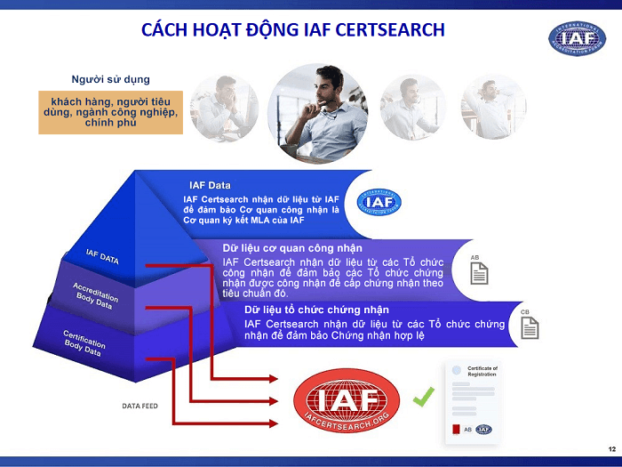 hoạt động của iaf certsearch 