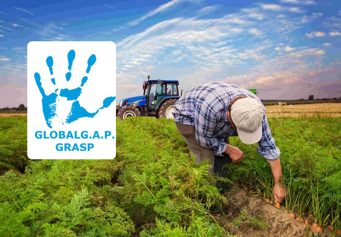 Dịch vụ Đánh Giá GRASP – Công Nhận Quốc Tế 1 chứng nhận gasp