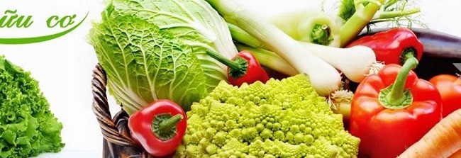 Áp dụng HACCP trong chế biến nông sản: Tại sao nói HACCP là tiêu chuẩn quốc tế? 1 chứng nhận haccp