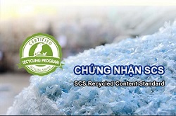chung nhan scs 31