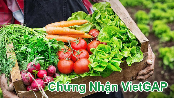 VietGAP 是什么? 1 CHỨNG NHẬN VIETGAP