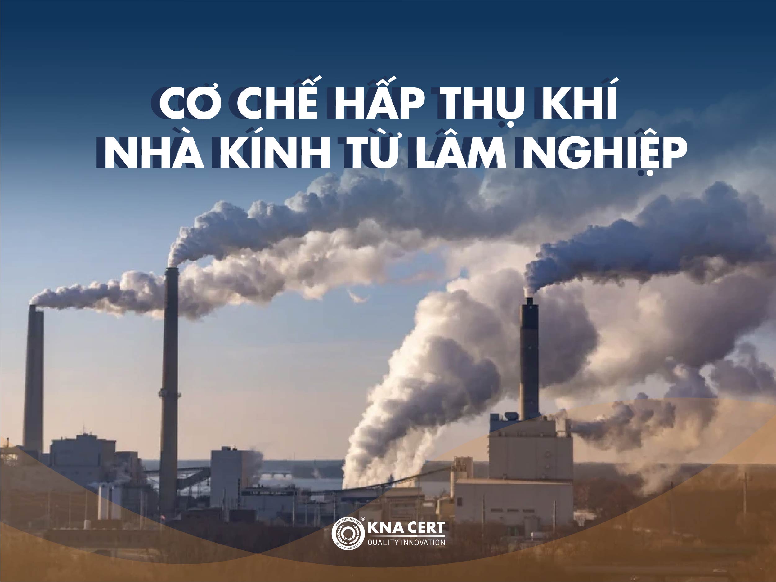 co che hap thu khi nha kinh tu lam nghiep