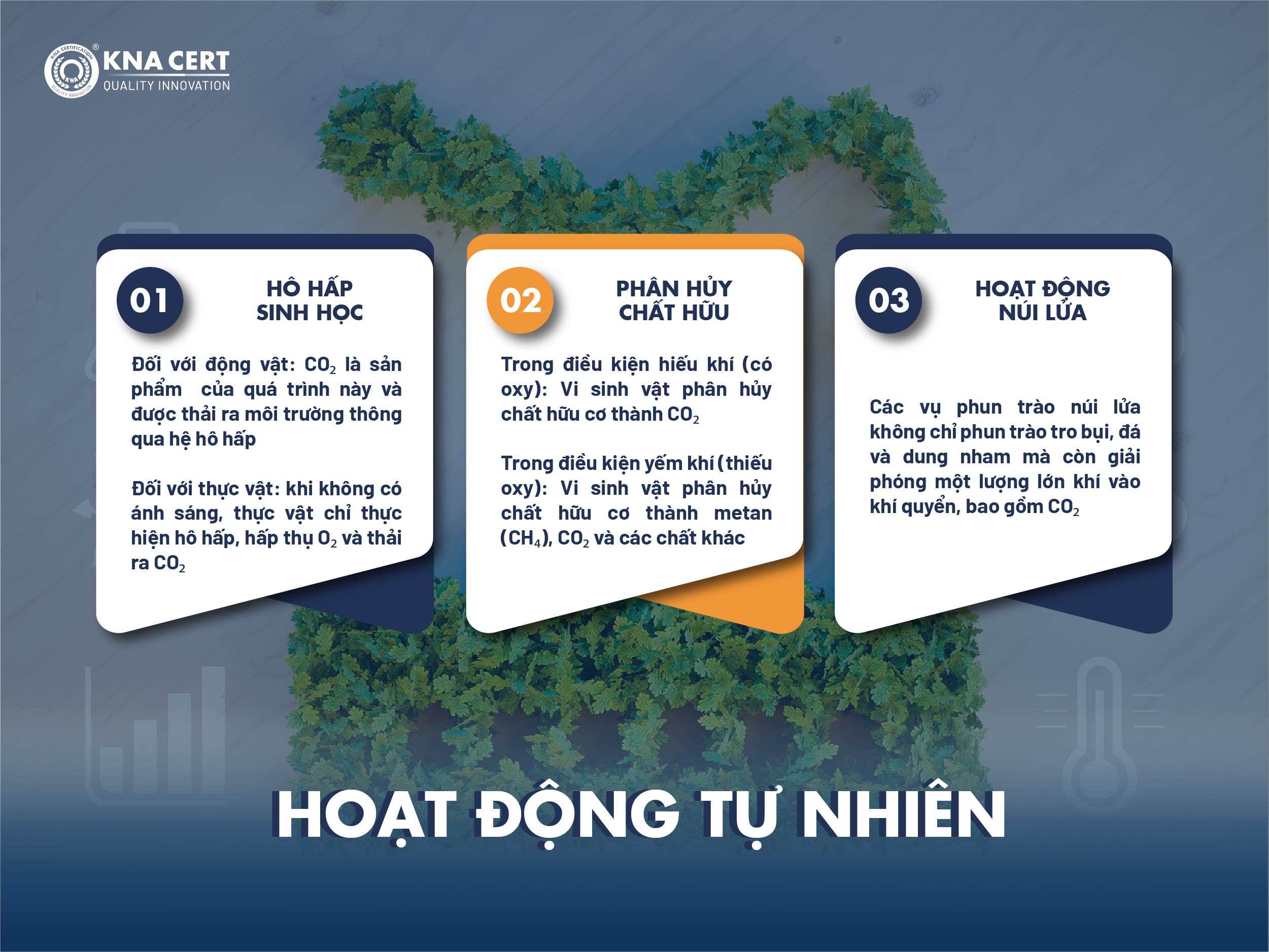 Nguyên nhân gây ra hiệu ứng nhà kính phổ biến 1 hoat dong tu nhien