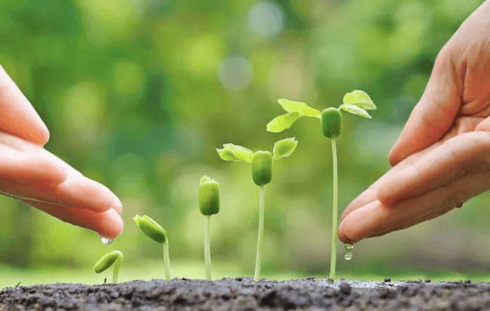 ISO 14001 có bắt buộc không? 2 bộ tiêu chuẩn iso 14001:2015