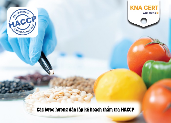 Kế hoạch thẩm tra HACCP là gì? Nội dung kế hoạch thẩm tra HACCP 3 kế hoạch thẩm tra haccp