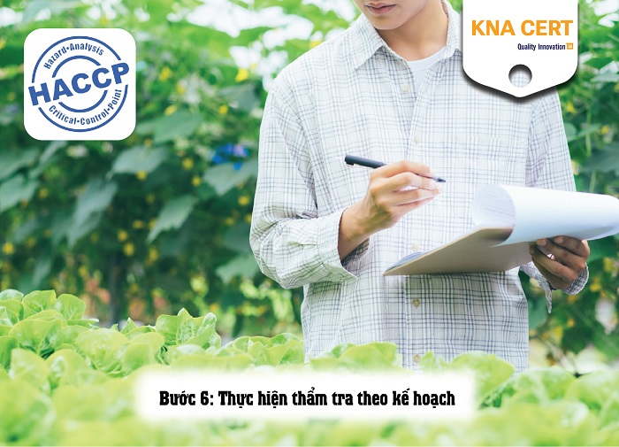 Kế hoạch thẩm tra HACCP là gì? Nội dung kế hoạch thẩm tra HACCP 4 kế hoạch thẩm tra haccp