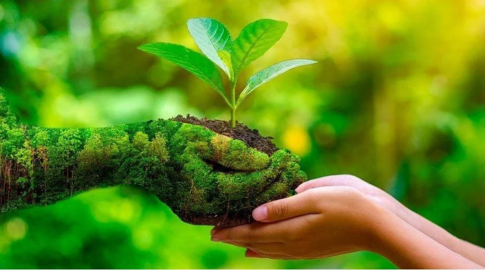 Các yêu cầu khi Xác định rủi ro và cơ hội trong ISO 14001 2 rủi ro và cơ hội của hệ thống ISO 14001:2015
