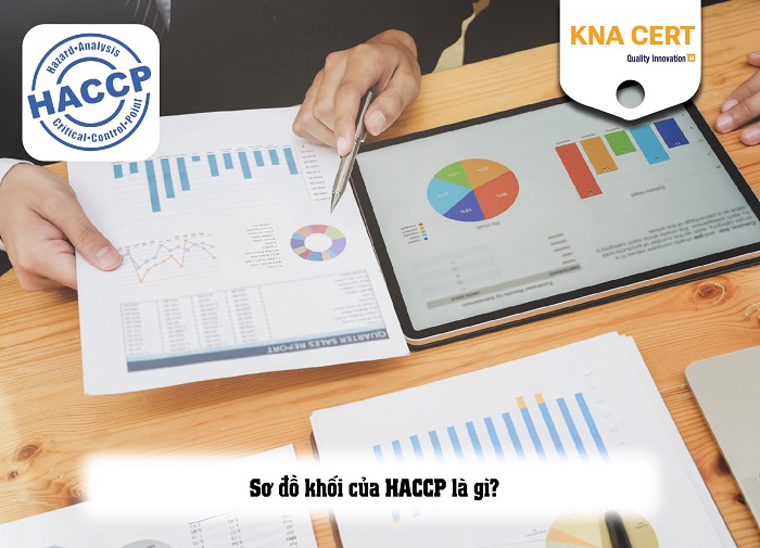 Sơ đồ khối của HACCP là gì? Hướng dẫn xây dựng sơ đồ theo HACCP 1 so-do-khoi-cua-haccp-la-gi