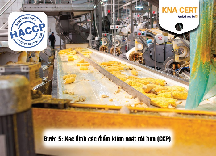 Sơ đồ khối của HACCP là gì? Hướng dẫn xây dựng sơ đồ theo HACCP 4 so-do-khoi-cua-haccp-la-gi