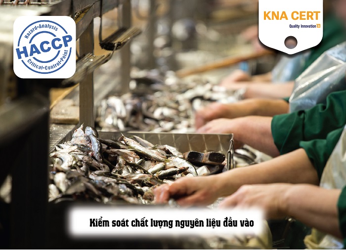 Thời hạn của giấy chứng nhận HACCP là bao lâu? Cách để duy trì chứng chỉ HACCP 3 THỜI HẠN CỦA GIÂY CHỨNG NHẬN HACCP