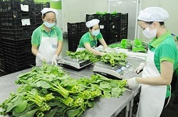 Dịch vụ Đánh Giá GRASP – Công Nhận Quốc Tế 3 tieu chuan grasp banner 12
