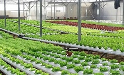 Dịch vụ Đánh Giá GRASP – Công Nhận Quốc Tế 5 tieu chuan grasp banner 34