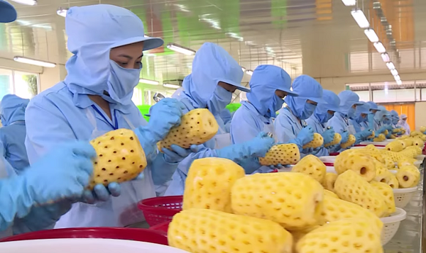 tu van haccp iso22000
