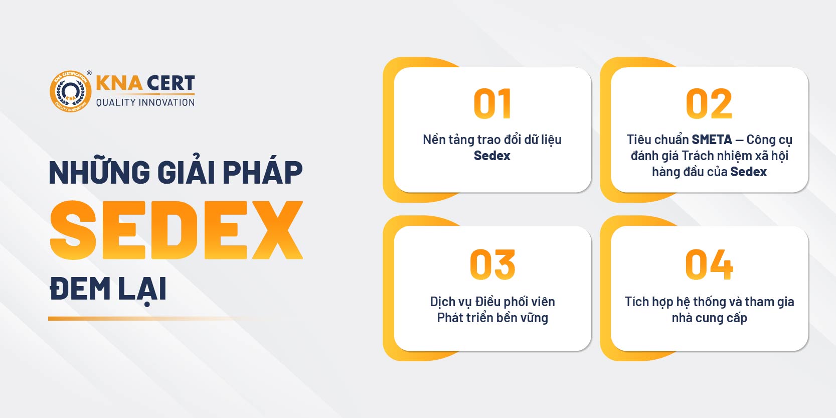 Giải pháp của Sedex