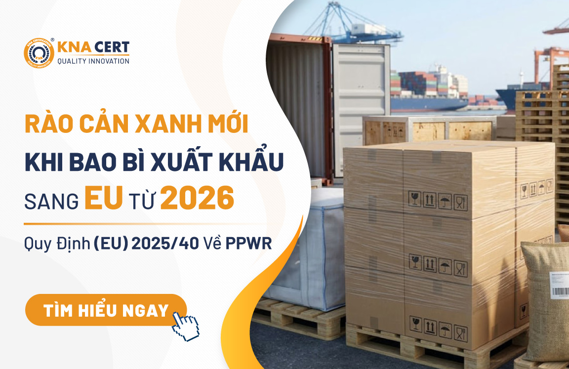 Rào Cản Xanh Mới Khi Bao Bì Xuất Khẩu Sang EU Từ 2026 - Quy Định (EU) 2025/40 Về PPWR