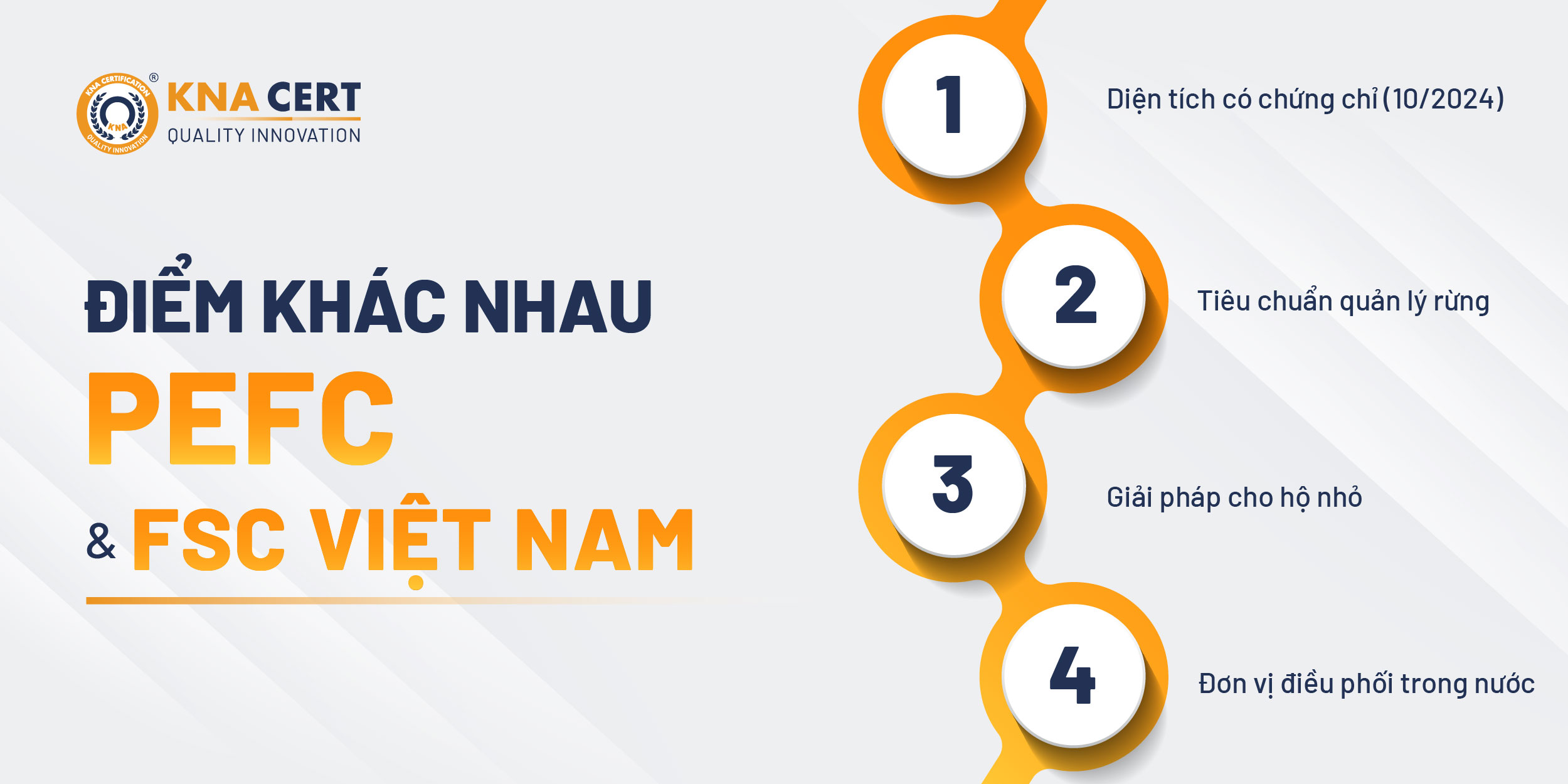 PEFC và FSC tại Việt Nam khác nhau thế nào?