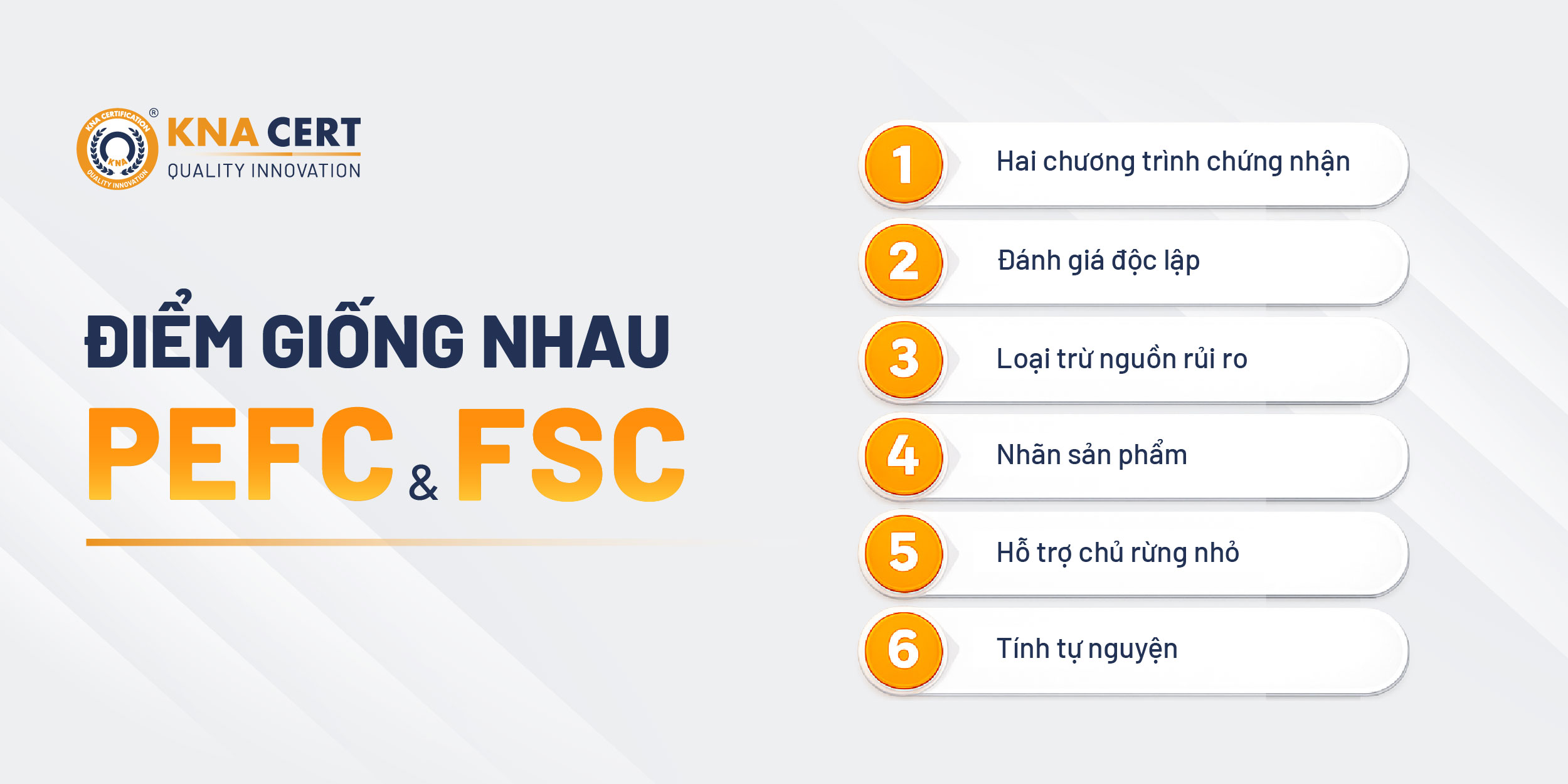 Tiêu chuẩn PEFC và FSC giống nhau ở điểm nào?