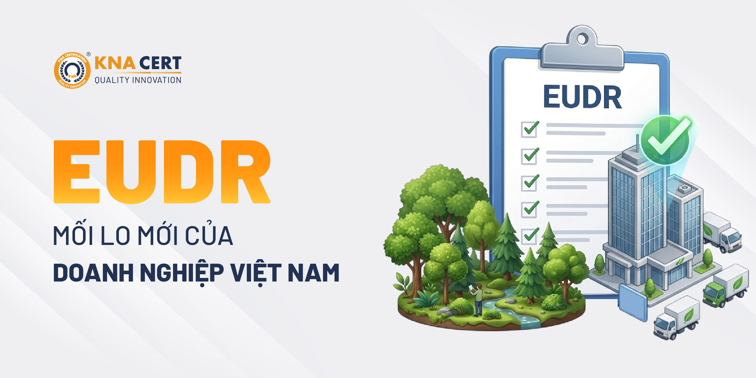 EUDR là gì & Vì sao đang trở thành mối lo cấp bách với doanh nghiệp Việt Nam?