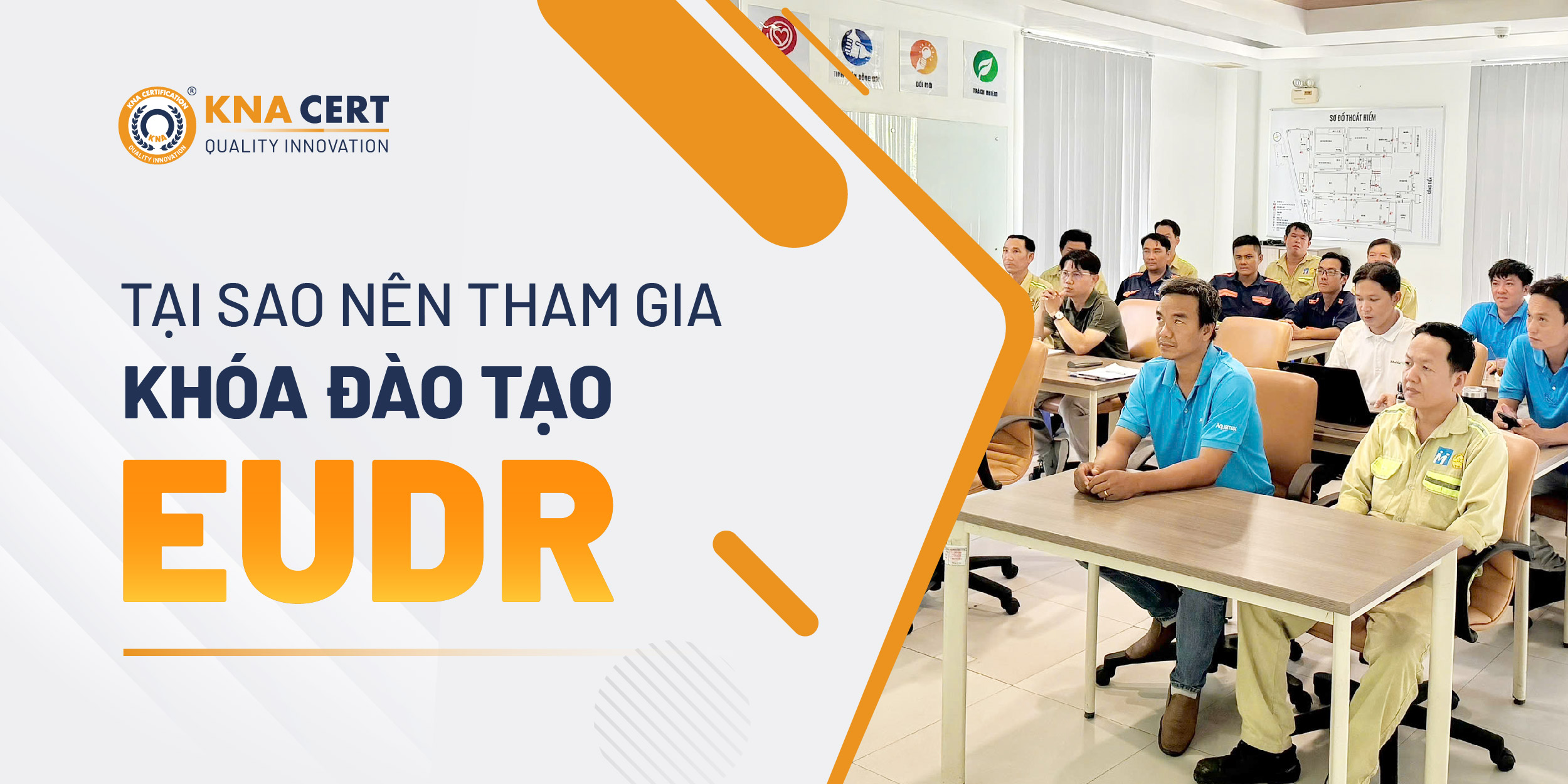 Vì sao nên tham gia Khóa đào tạo EUDR ngay bây giờ?