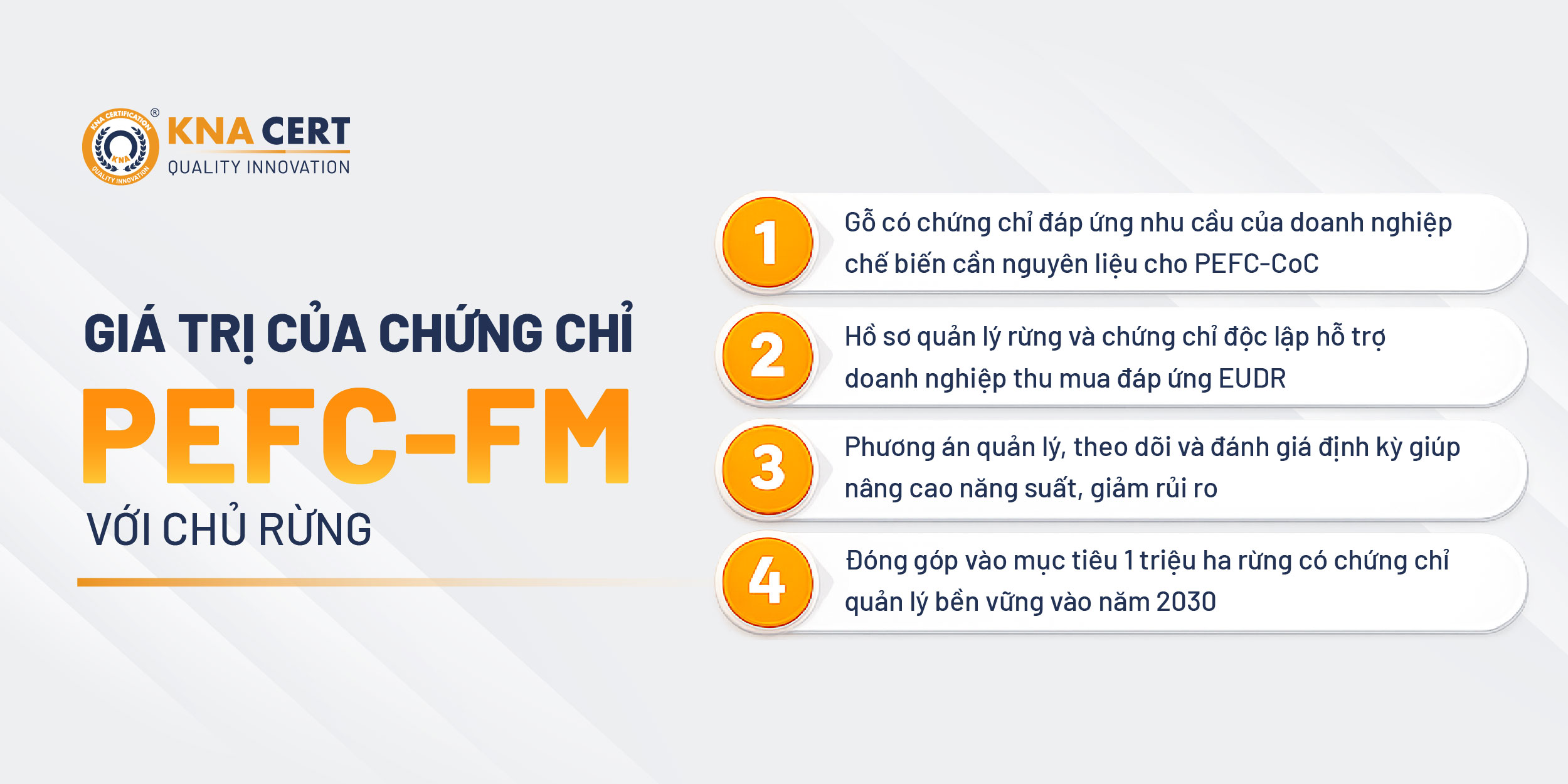 Chứng chỉ PEFC-FM mang lại giá trị gì cho chủ rừng?