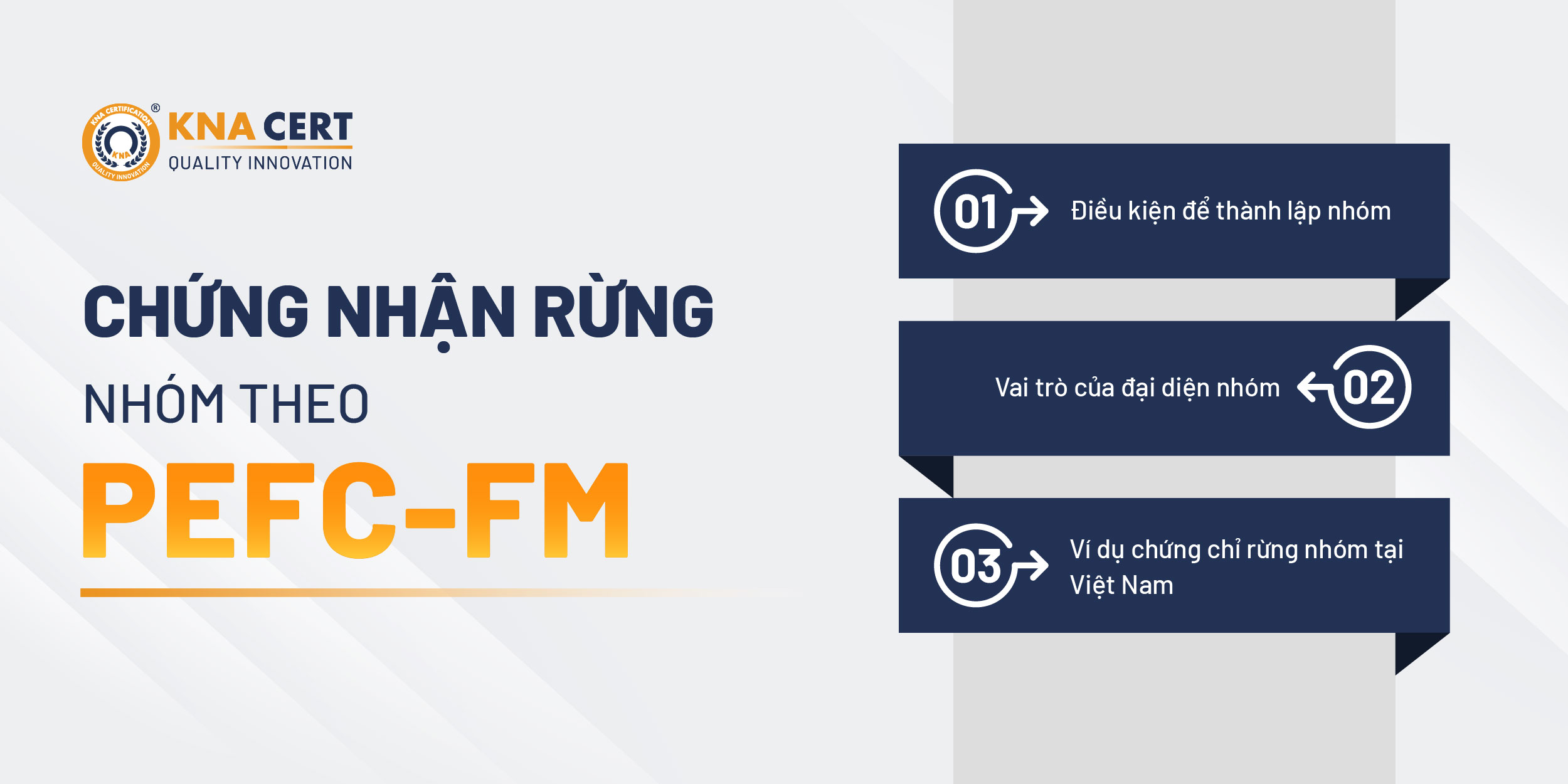 Chứng chỉ rừng theo nhóm PEFC-FM hoạt động như thế nào?