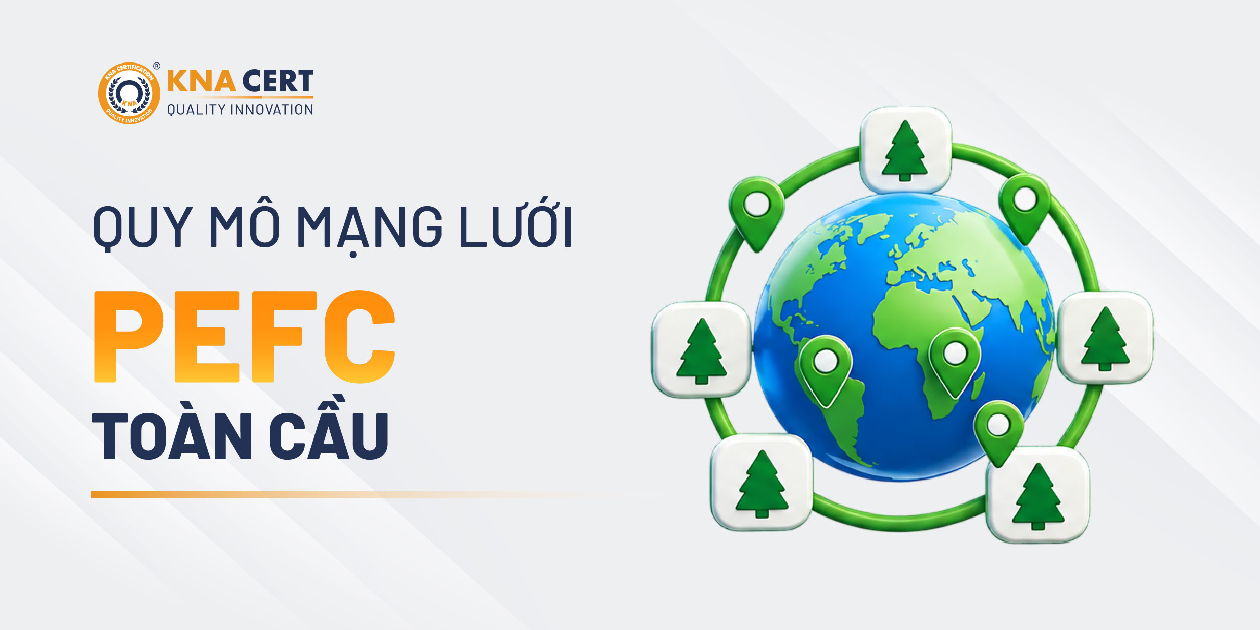 Quy mô của tổ chức PEFC trên thế giới hiện nay ra sao?