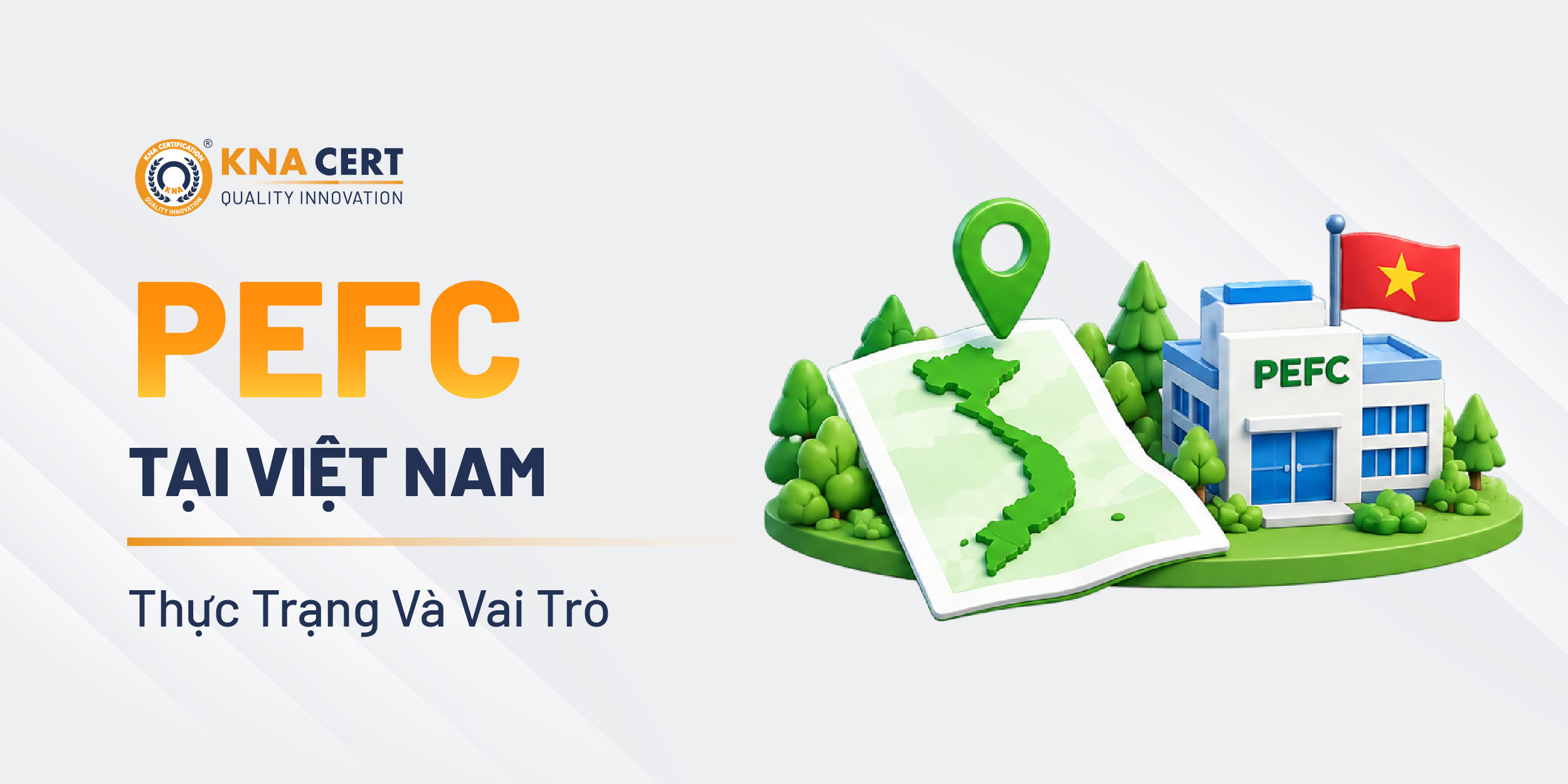 Tổ chức PEFC hiện diện tại Việt Nam như thế nào?
