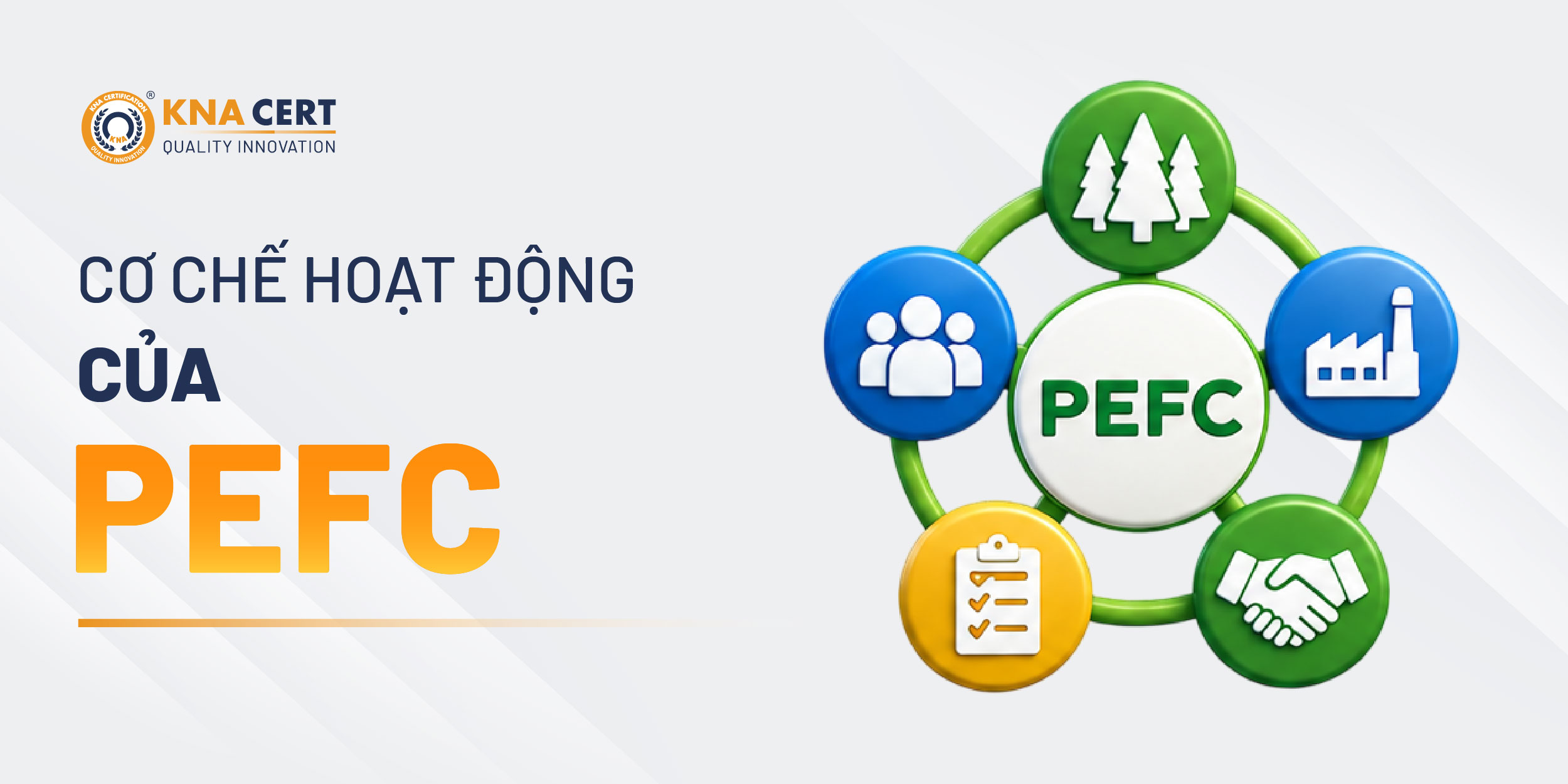 Tổ chức PEFC hoạt động theo cơ chế nào?